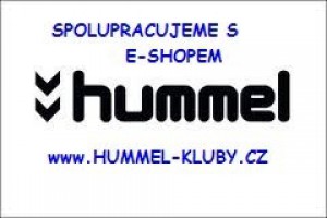 logo_e-shop_kluby.jpg